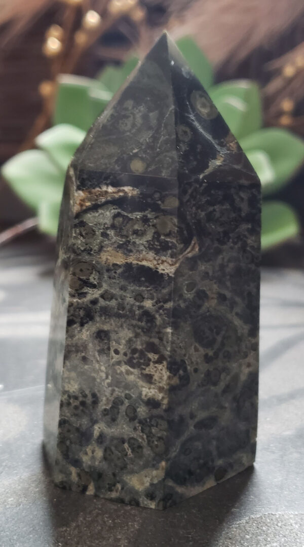 Kambaba Jasper - Image 2