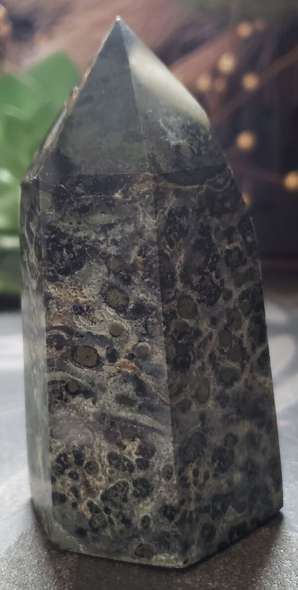 Kambaba Jasper - Image 4