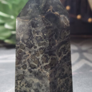 Kambaba Jasper