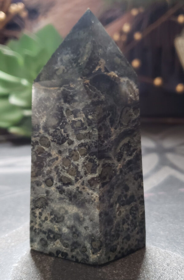 Kambaba Jasper
