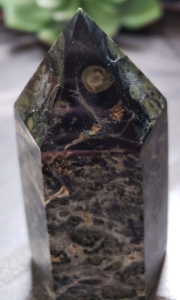 Kambaba Jasper - Image 3
