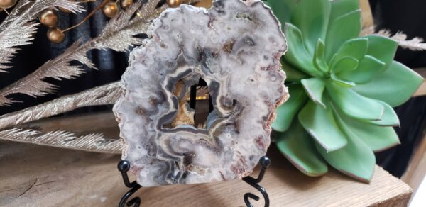 Argentina Slab Agate AAA Grade (no dc yet) - Image 3