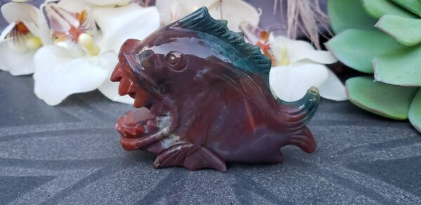 Ocean Jasper Piranha (no dc yet) - Image 4