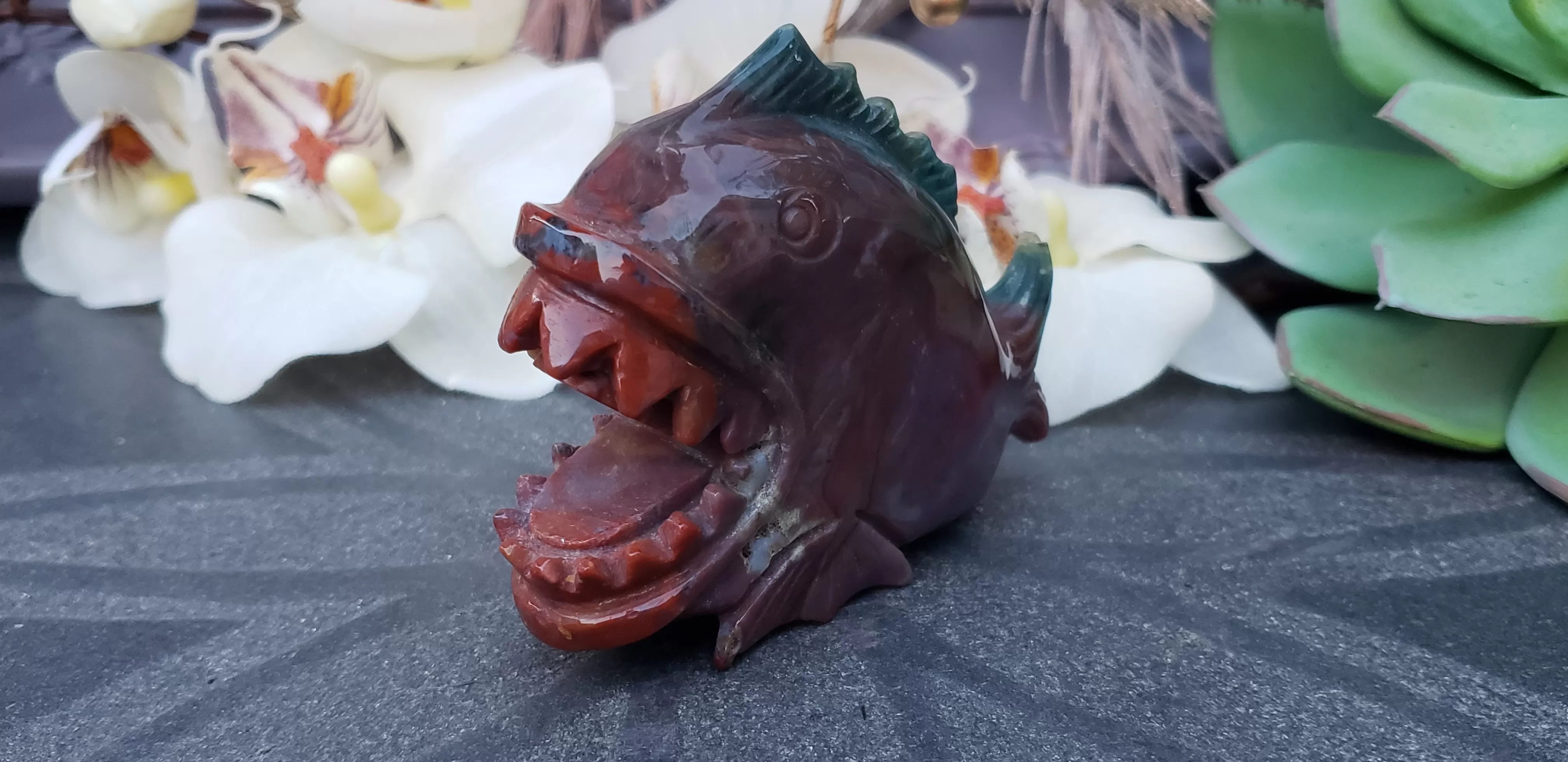 Ocean Jasper Piranha (no dc yet)