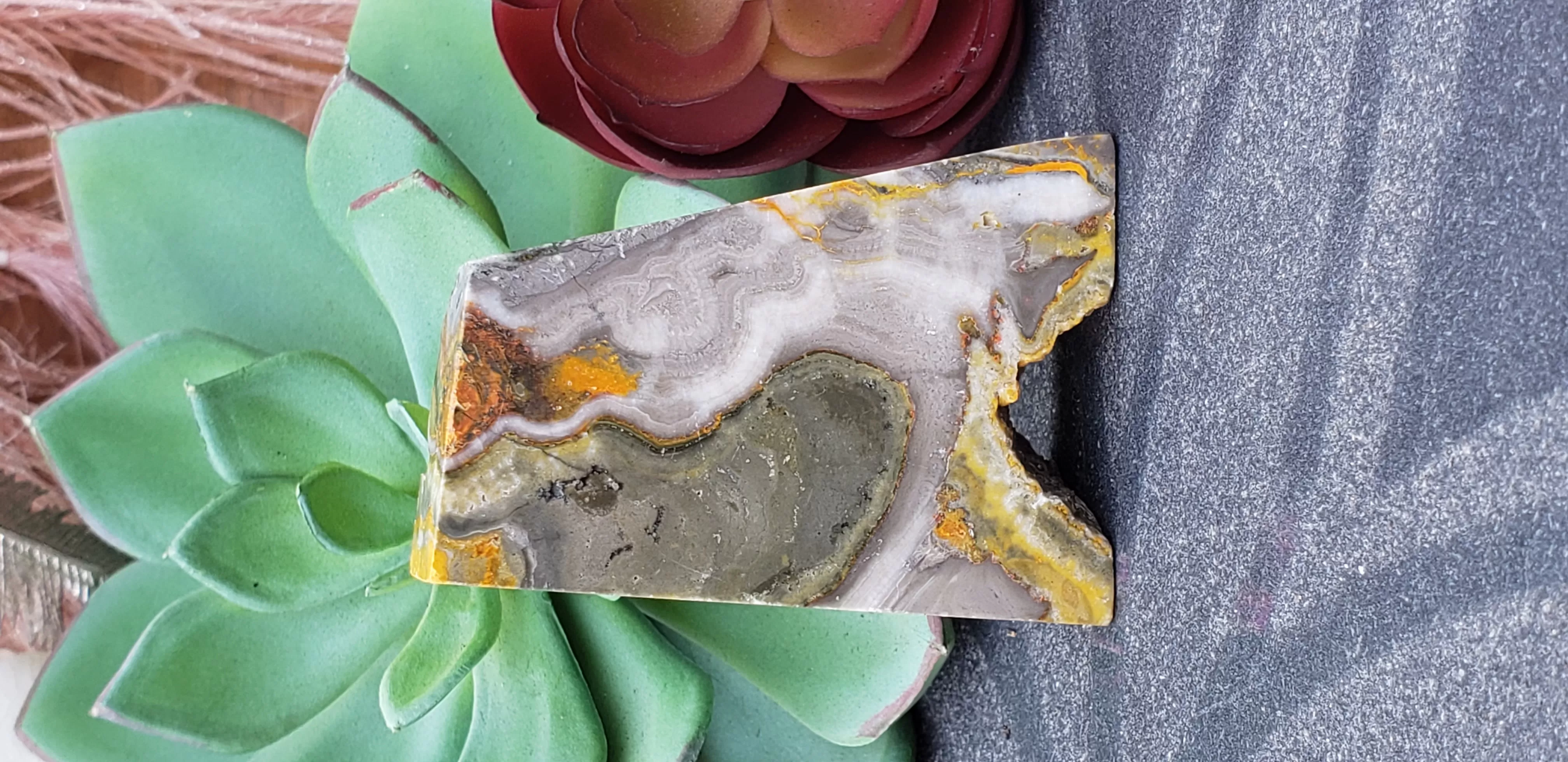 Bumblebee Jasper Free-form (no dc yet) - Image 11