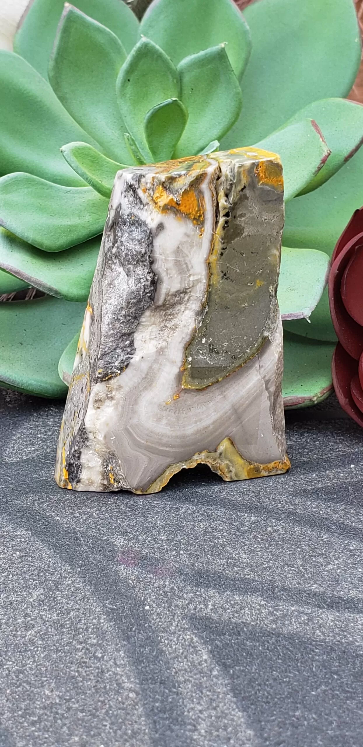 Bumblebee Jasper Free-form (no dc yet) - Image 10