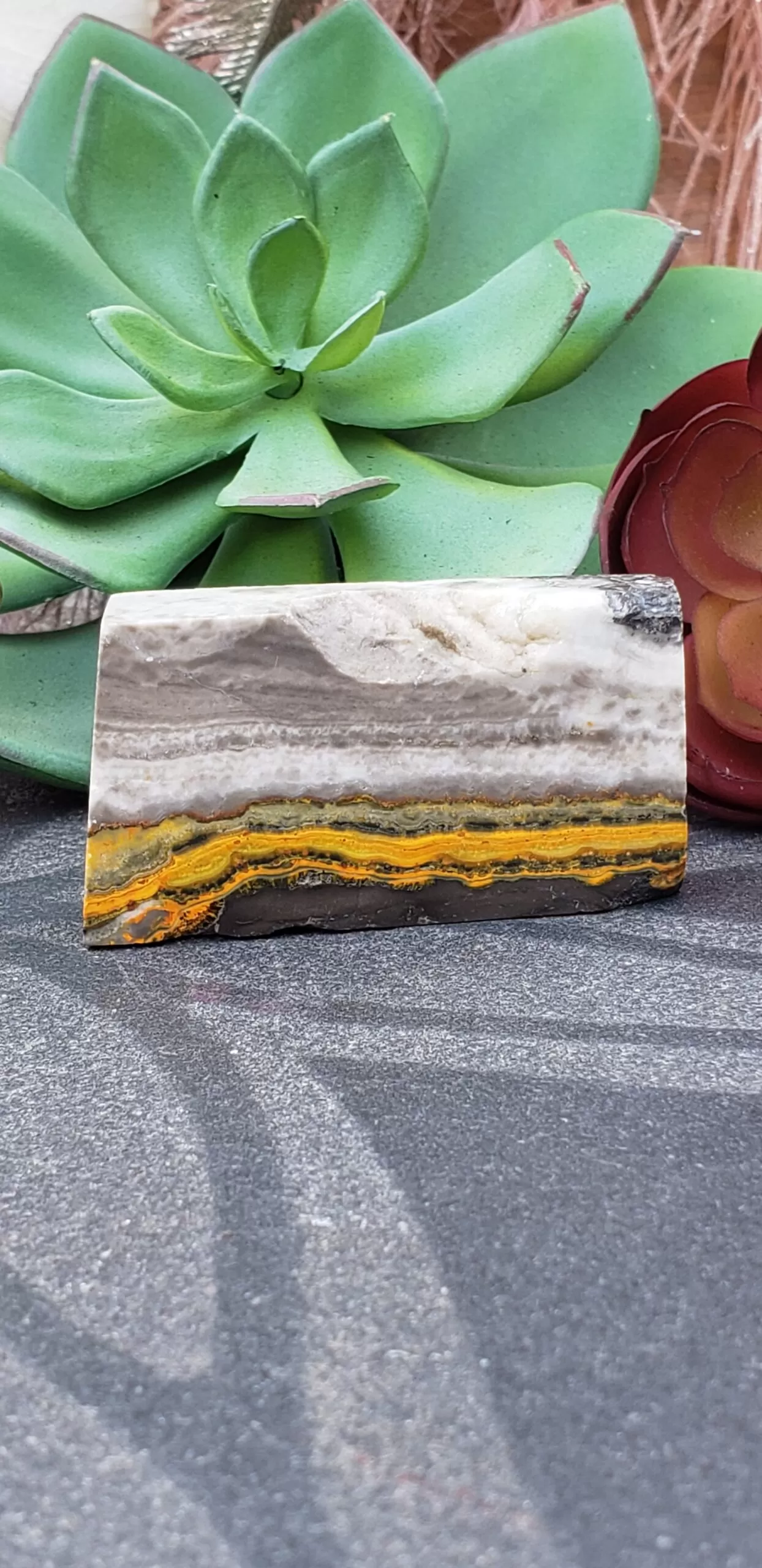 Bumblebee Jasper Free-form (no dc yet) - Image 7