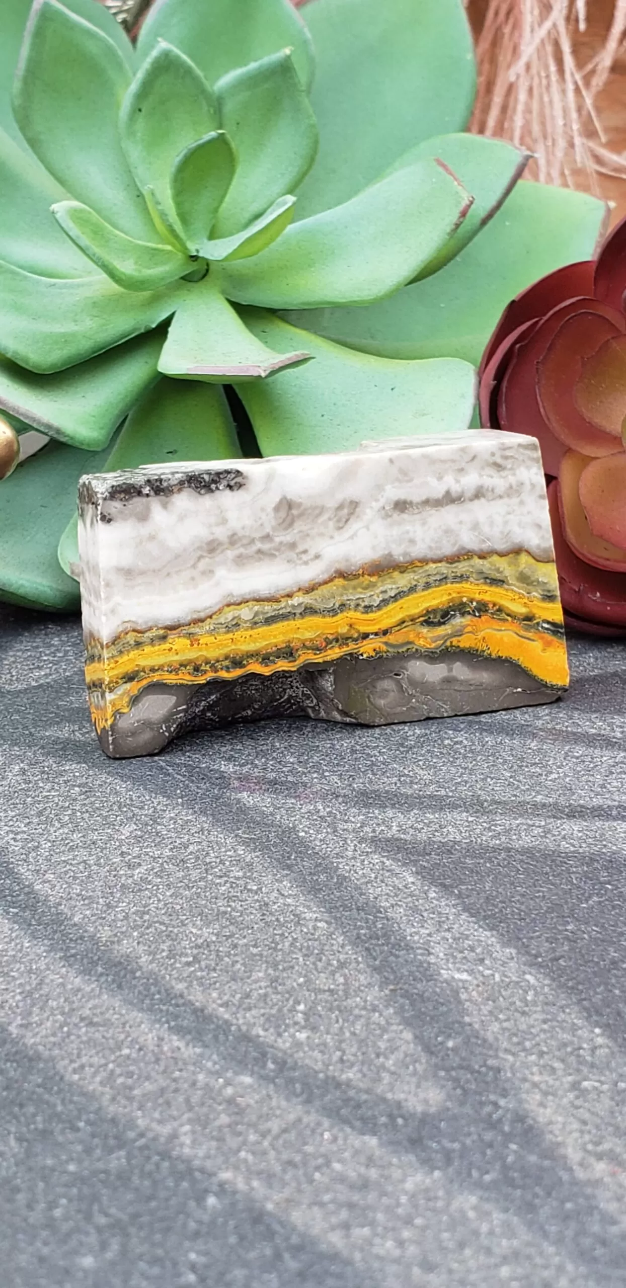 Bumblebee Jasper Free-form (no dc yet) - Image 6