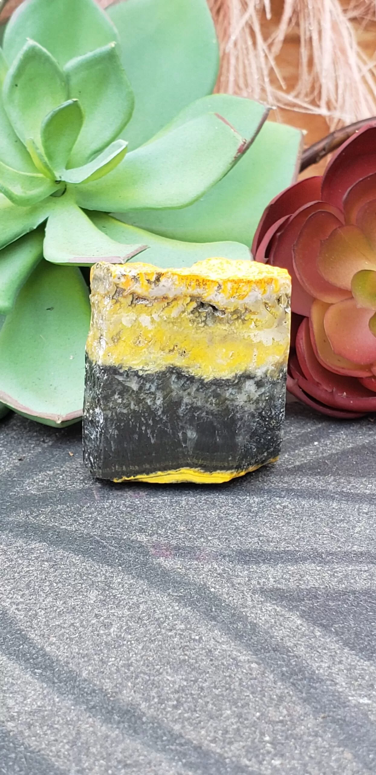 Bumblebee Jasper Free-form (no dc yet) - Image 5