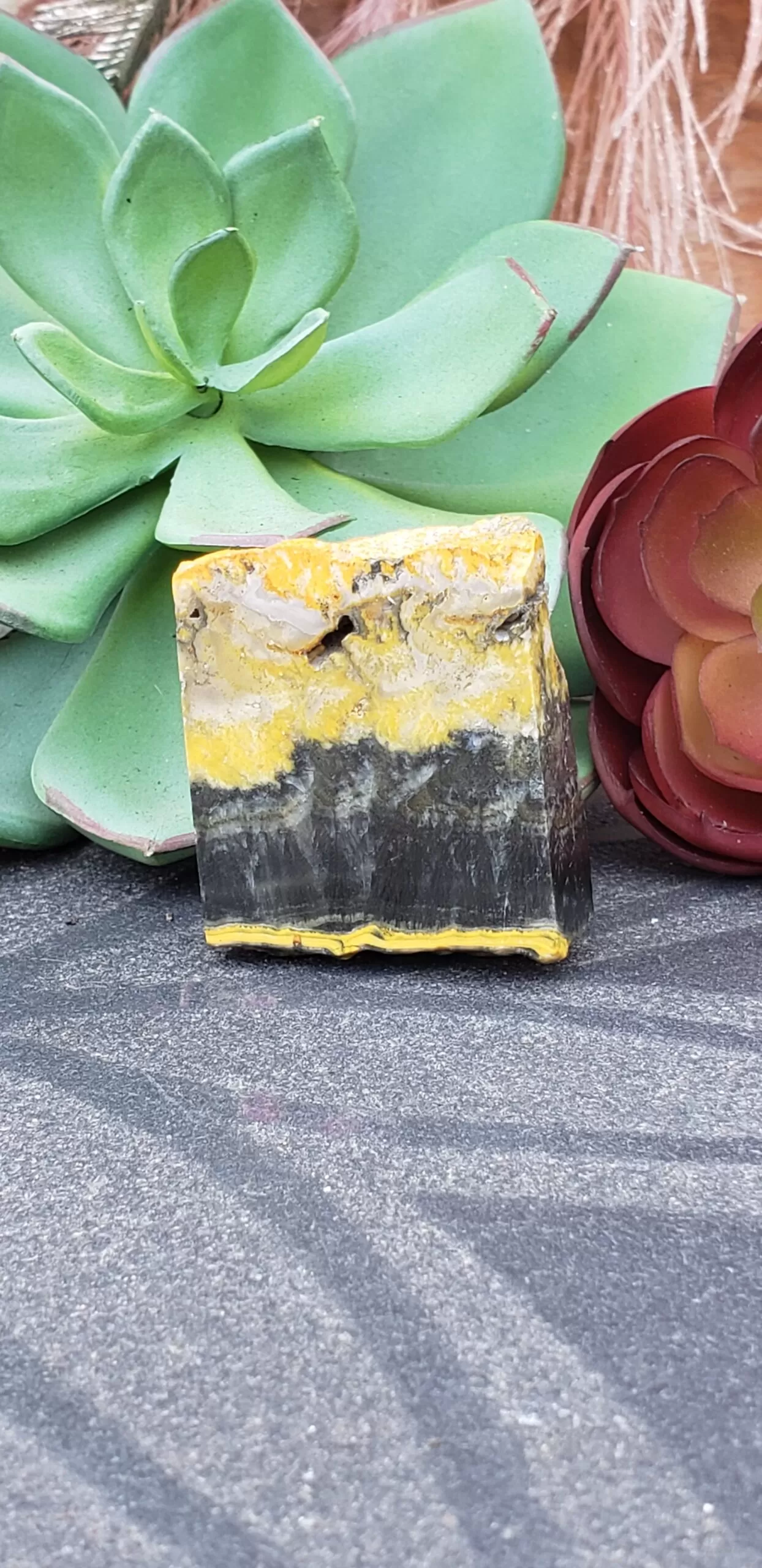 Bumblebee Jasper Free-form (no dc yet) - Image 4