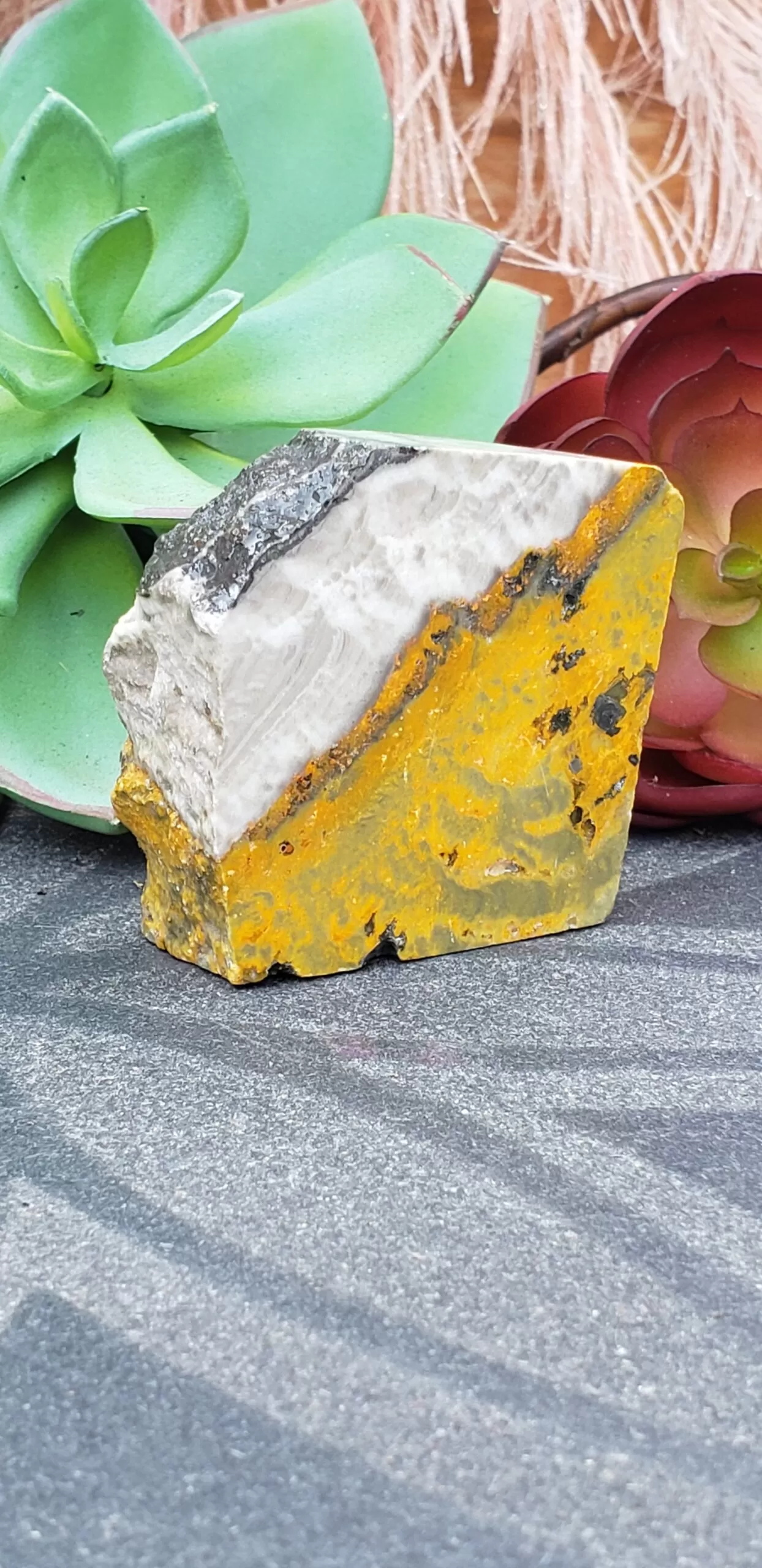 Bumblebee Jasper Free-form (no dc yet) - Image 9