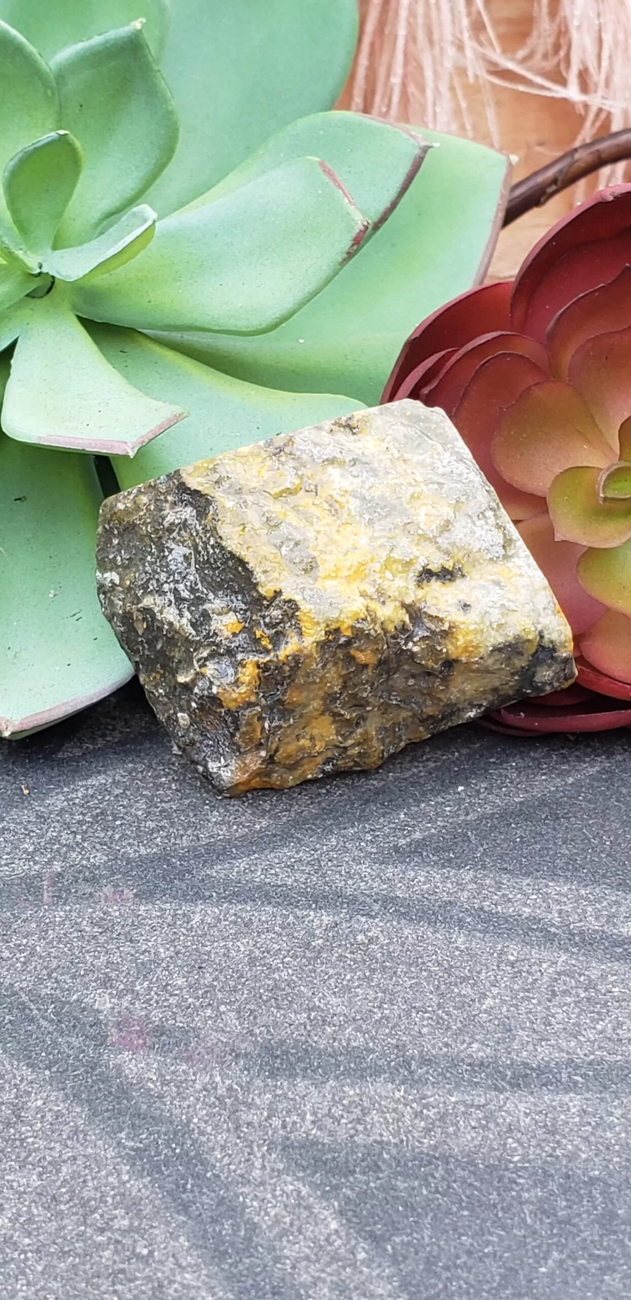 Bumblebee Jasper Free-form (no dc yet) - Image 3