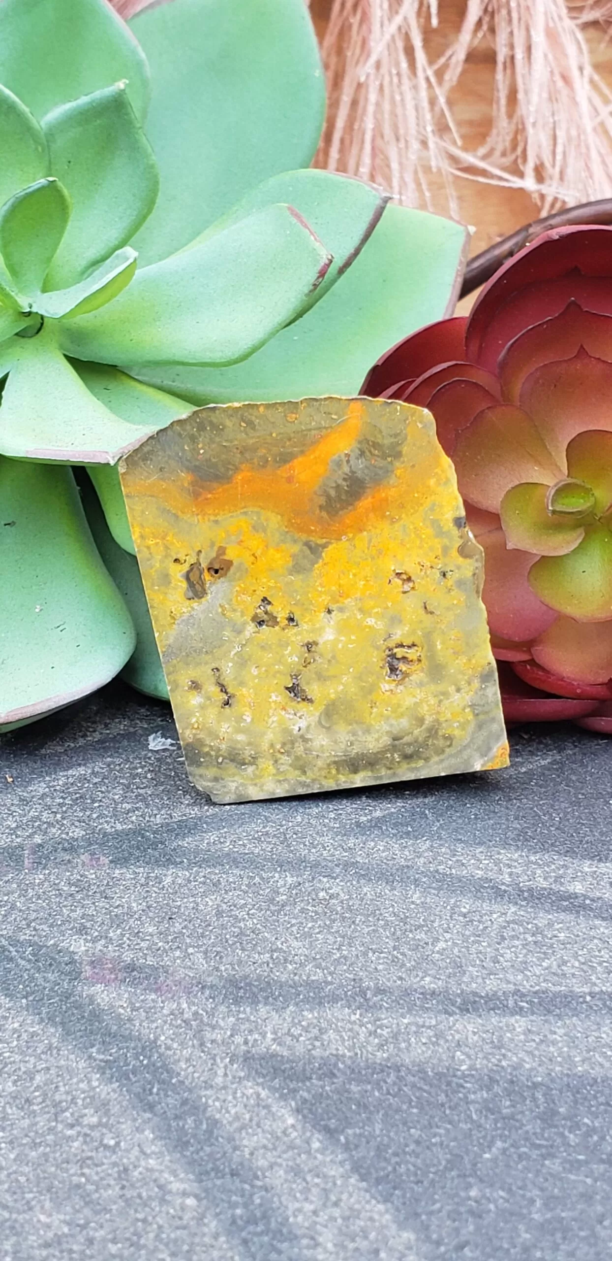 Bumblebee Jasper Free-form (no dc yet) - Image 2